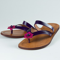 Marguerite Aubergine Fuchsia femmes